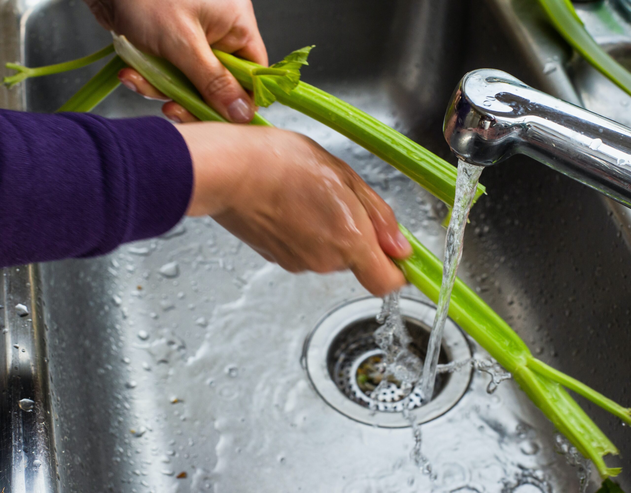 Person washing celery with filtered water in a sink